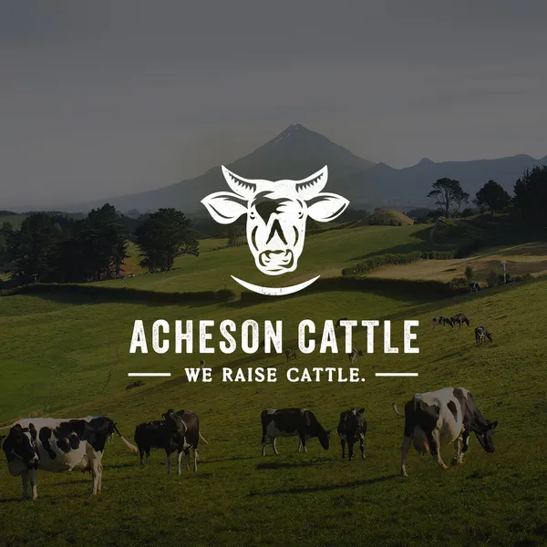Acheson Cattle